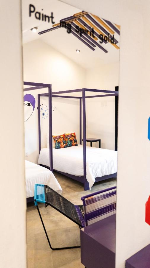Hotel Suculenta Boutique Сан-Кристобаль-де-Ла-Касас Экстерьер фото