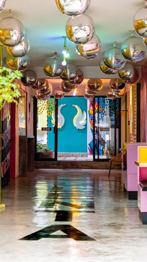 Hotel Suculenta Boutique Сан-Кристобаль-де-Ла-Касас Экстерьер фото